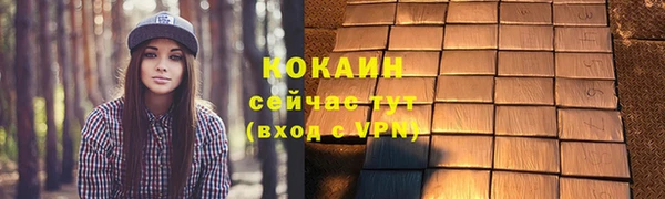 индика Горняк