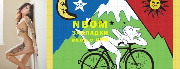 индика Горняк