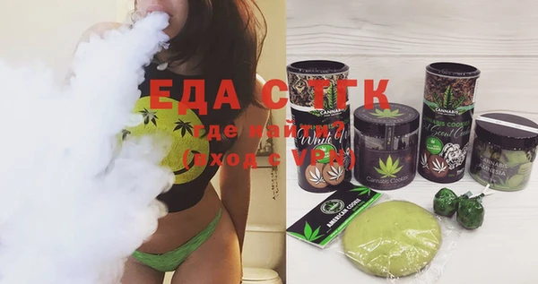 индика Горняк