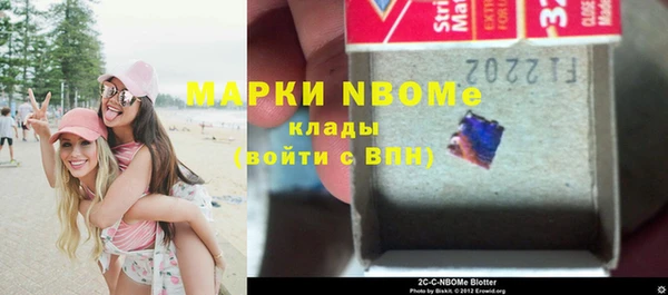 индика Горняк
