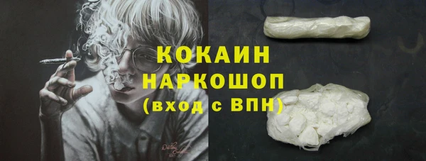 не бодяженный Горно-Алтайск