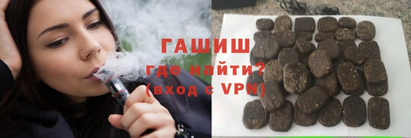 индика Горняк