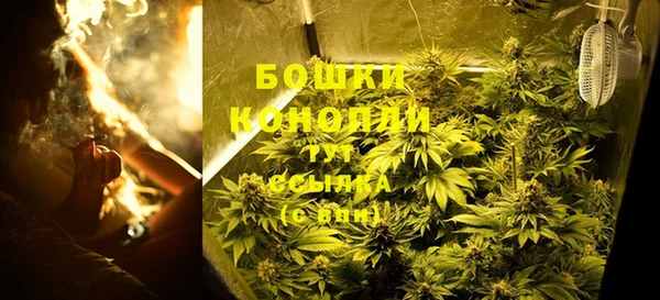 индика Горняк