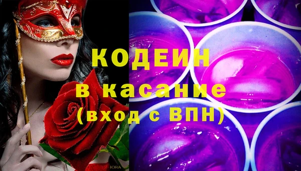 индика Горняк