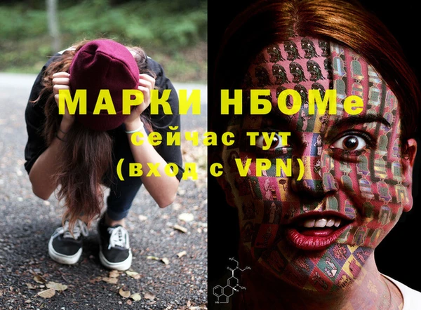 индика Горняк