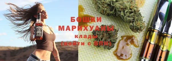 индика Горняк