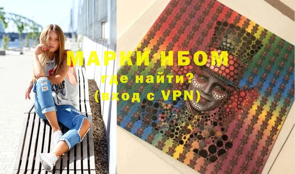 индика Горняк