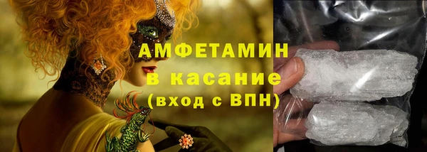 индика Горняк