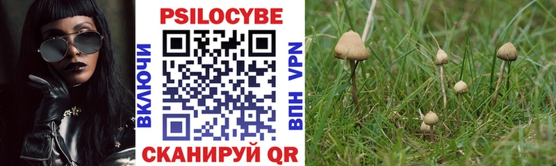 Купить  Дзержинский  Галлюциногенные грибы Psilocybe 